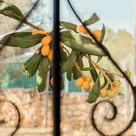 Casa vacanze Casa Mariposa Benirras *